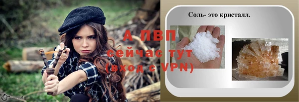 СК Волоколамск