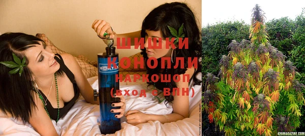 СК Волоколамск