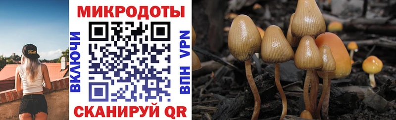 Псилоцибиновые грибы мицелий  закладки  Кадников 